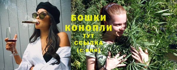 гидра Беломорск
