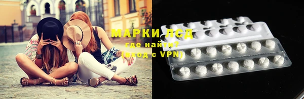 apvp Белокуриха