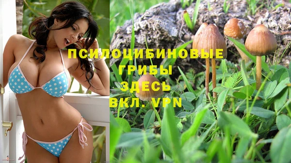 apvp Белокуриха