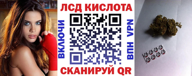даркнет сайт  Нефтегорск  ссылка на мегу ссылки  Марки NBOMe 1500мкг 
