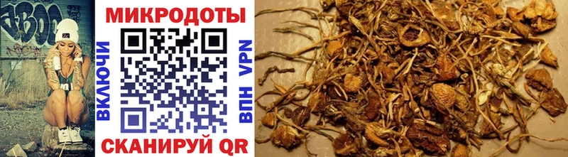 купить  сайты  Нефтегорск  Галлюциногенные грибы Cubensis 
